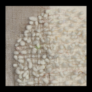 Ria detail