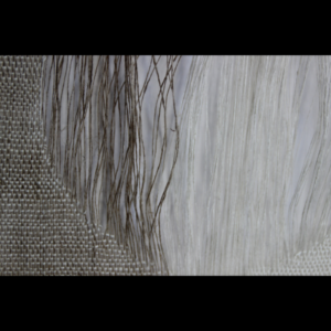 Ria detail