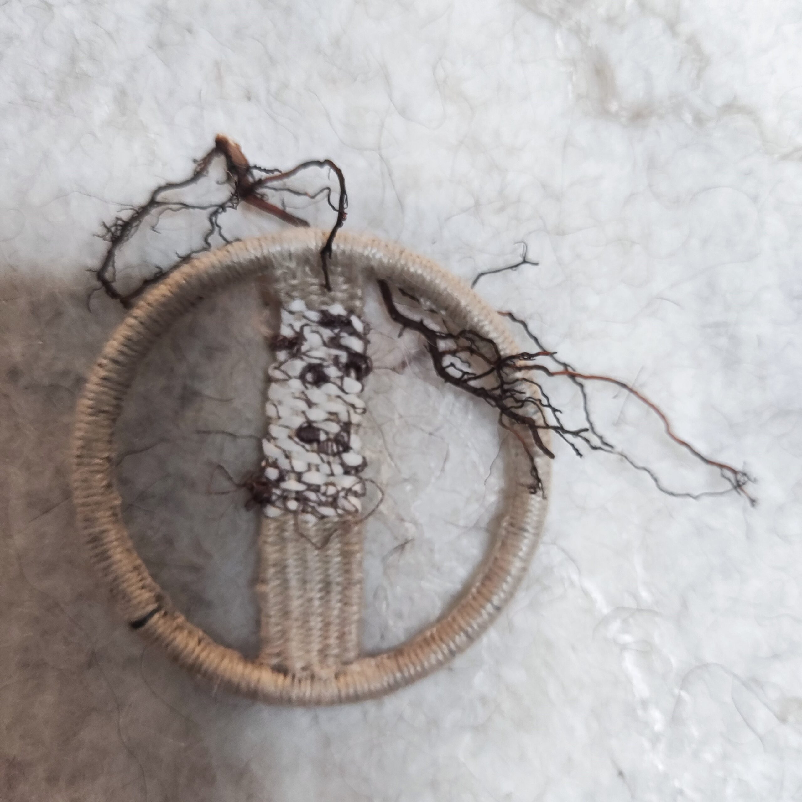 IMG_20251211_121218 (002)