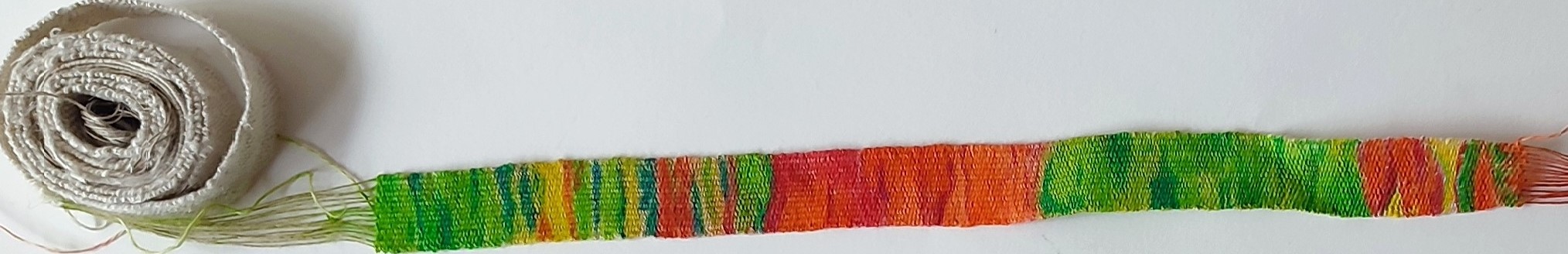 .trashed-1770216540-IMG_20260105_152952