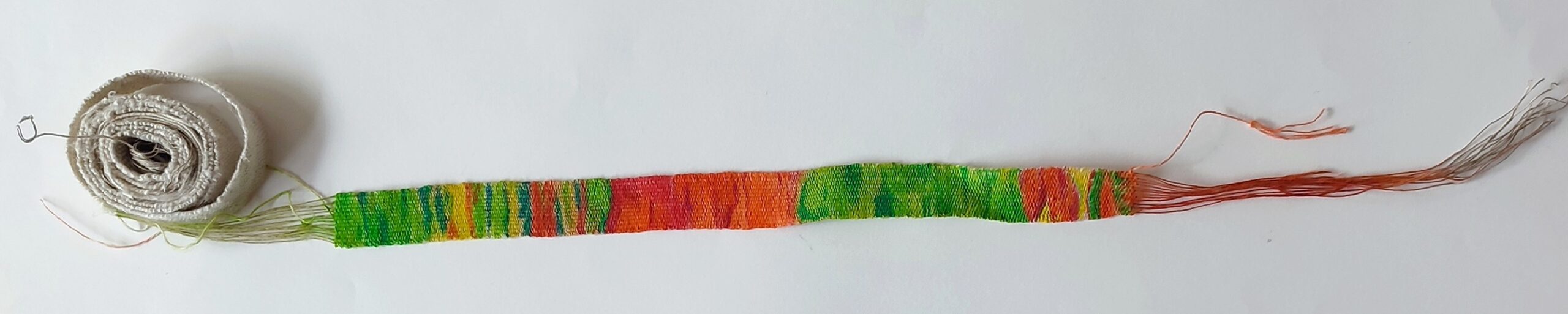 .trashed-1770216540-IMG_20260105_152952